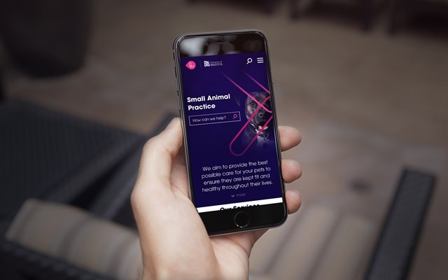 Mobile App on Mobile Phone Screen